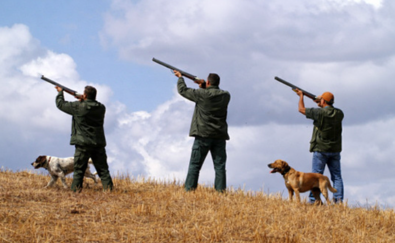 Firefly gpt image crea immagine simile aggiungendo un cacciatore ed un cane 6528