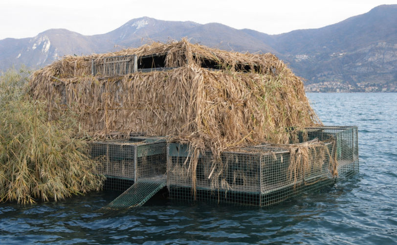 Firefly gpt image foto simile 933556