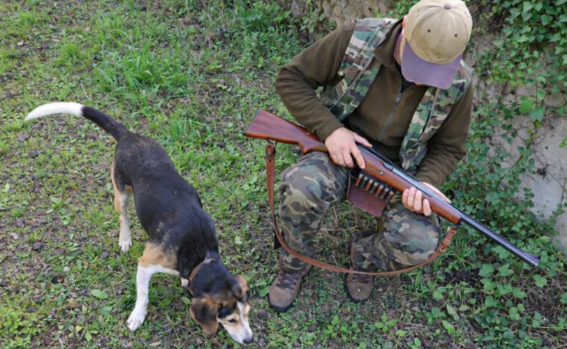 Firefly gpt image foto simile a quella di riferimento 8417421