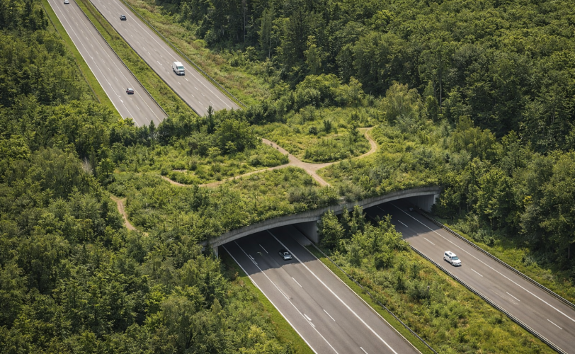 Firefly gpt image infrastrutture ecologiche riproduci un ponte simile 841180