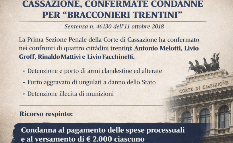 Firefly gpt image rimuovi le foto delle persone 372762