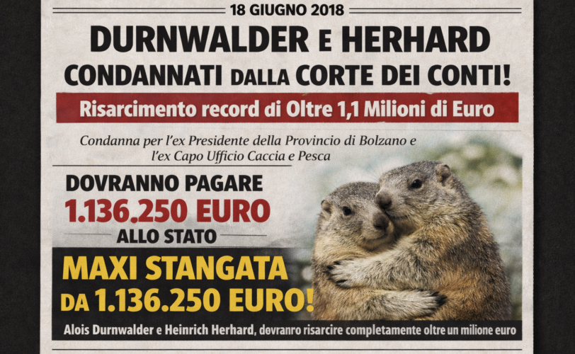 Firefly gpt image sostituisci le foto delle due persone con due marmotte che si abbracciano 220331