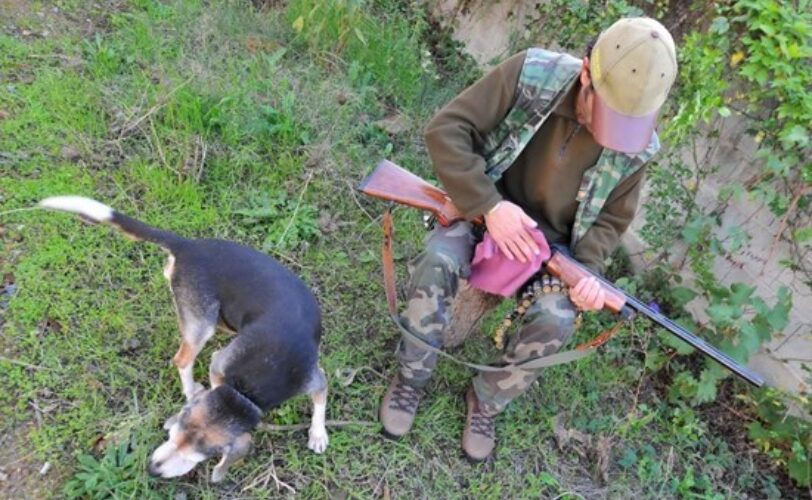 Il Consiglio di Stato boccia definitivamente la Regione Sardegna sulla caccia a Lepri e Pernici sarde LAC Lega Abolizione Caccia