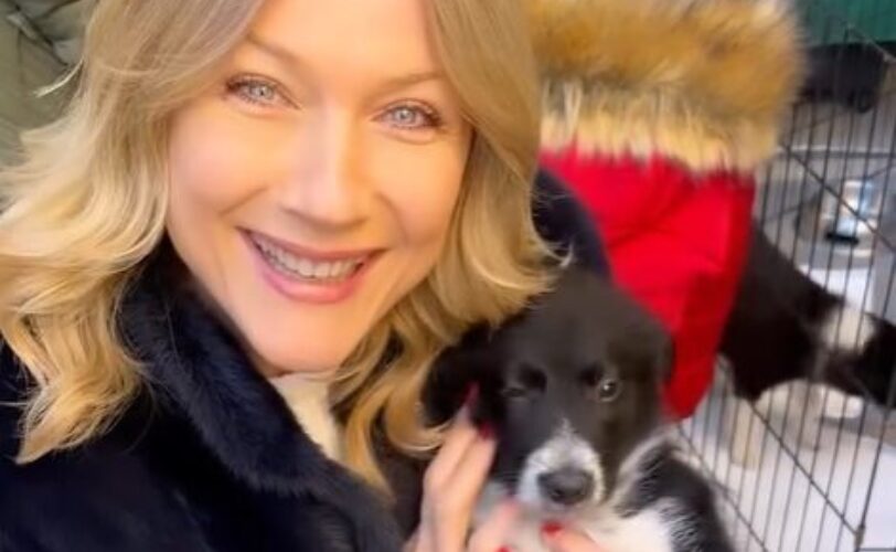 LAC Ascoli in contrasto al randagismo LAC Lega Abolizione Caccia