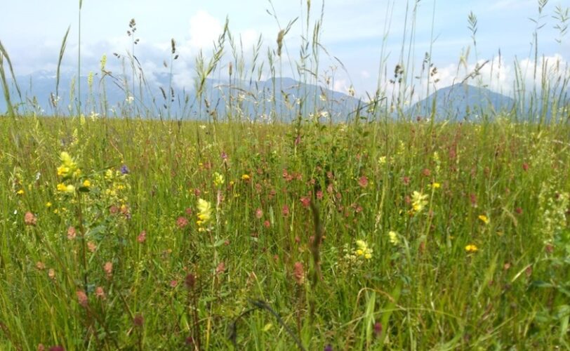 LAC FVG Legge omnibus passi indietro LAC Lega Abolizione Caccia