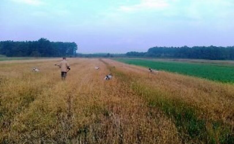 LAC Piemonte Divieto di caccia su fondi privati unopportunità per imprenditori del naturale LAC Lega Abolizione Caccia
