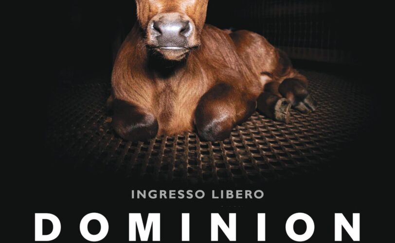 LAC Pinerolo proietta Dominion LAC Lega Abolizione Caccia