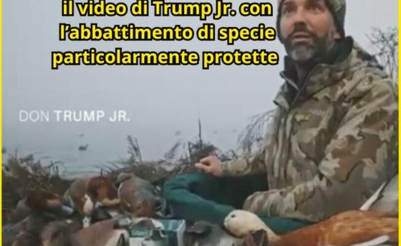 LAC deposita denunciaquerela dopo il video di Trump Jr LAC Lega Abolizione Caccia