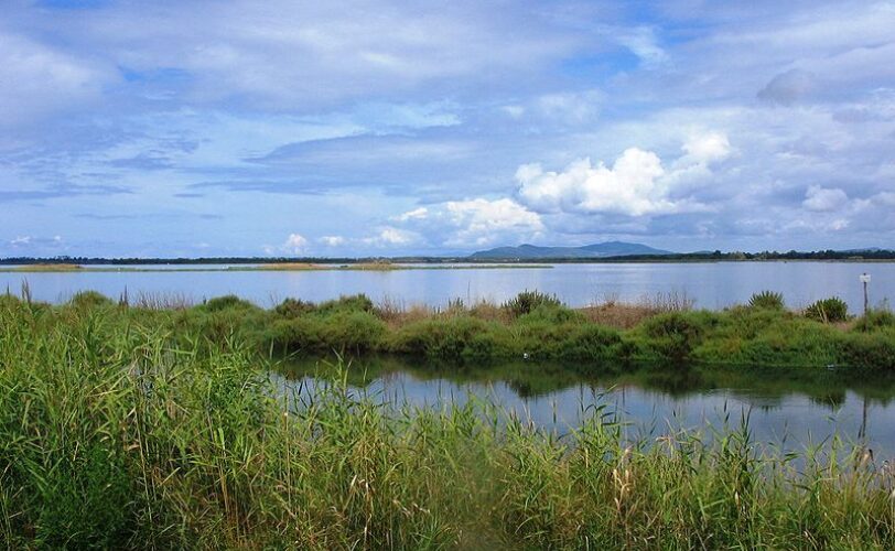 Laguna di Orbetello non deve diventare un parco giochi per cacciatori LAC Lega Abolizione Caccia