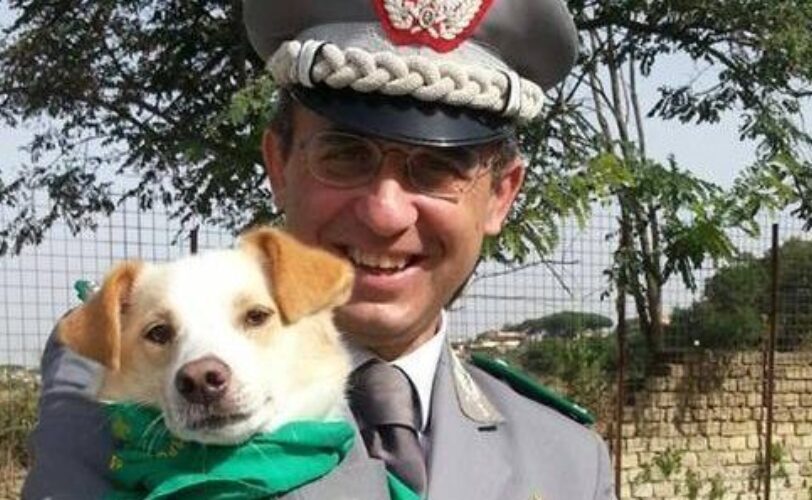 Le leggi ammazza lupi e orsi sono incostituzionali LAC Lega Abolizione Caccia