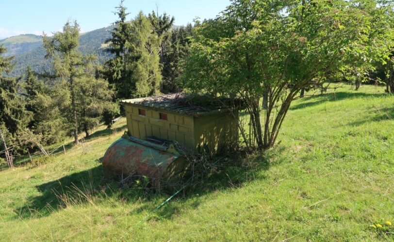 Liguria Corte Costituzionale boccia disposizioni Regionali LAC Lega Abolizione Caccia