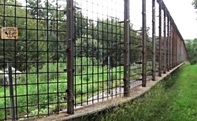 M49 orso in fuga Le associazioni LAC LIPU E WWF incompetenza e strumentalizzazione mix esplosivo LAC Lega Abolizione Caccia