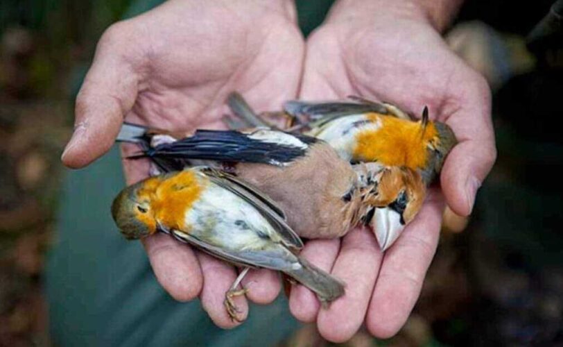Manifestazione al Tribunale di Brescia nuova protesta dei cacciatori No Lex LAC Lega Abolizione Caccia
