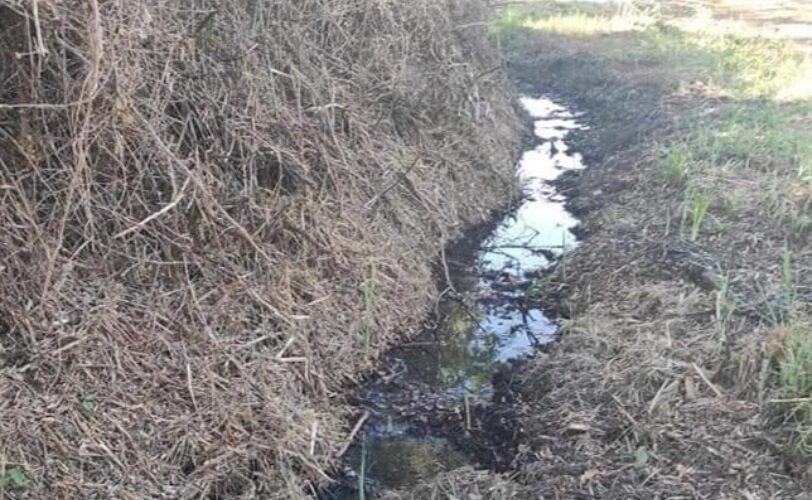 Massa Marittima LAC denuncia per inquinamento ambientale LAC Lega Abolizione Caccia
