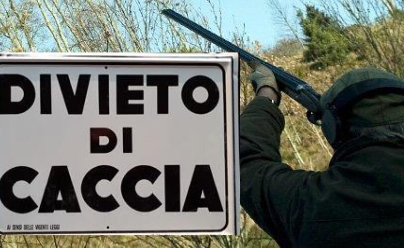 Nuova vittoria al TAR Lombardia Regione basta menzogne E lora di proteggere tutti i valichi LAC Lega Abolizione Caccia