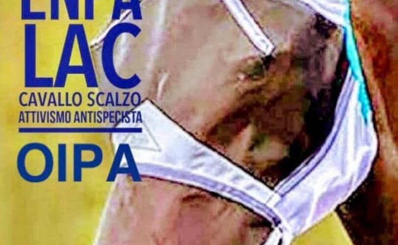 Palio 10 Comuni Montagnese drammatica situazione LAC Lega Abolizione Caccia