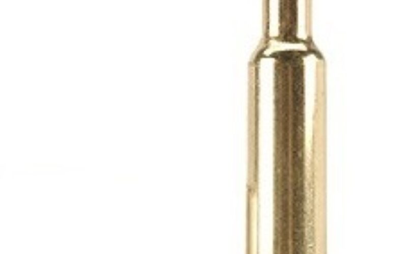 Proiettile come avviso LAC Lega Abolizione Caccia