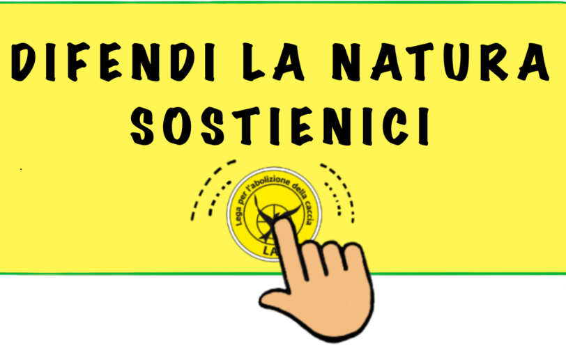 Sardegna sospesa la preapertura della stagione venatoria alla Tortora selvatica LAC Lega Abolizione Caccia