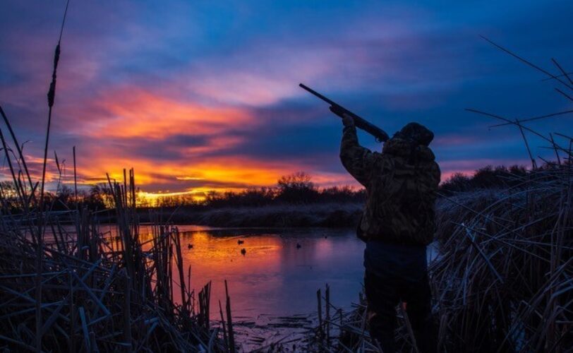 Stop alla caccia nelle aree della Rete Natura delle Marche LAC Lega Abolizione Caccia