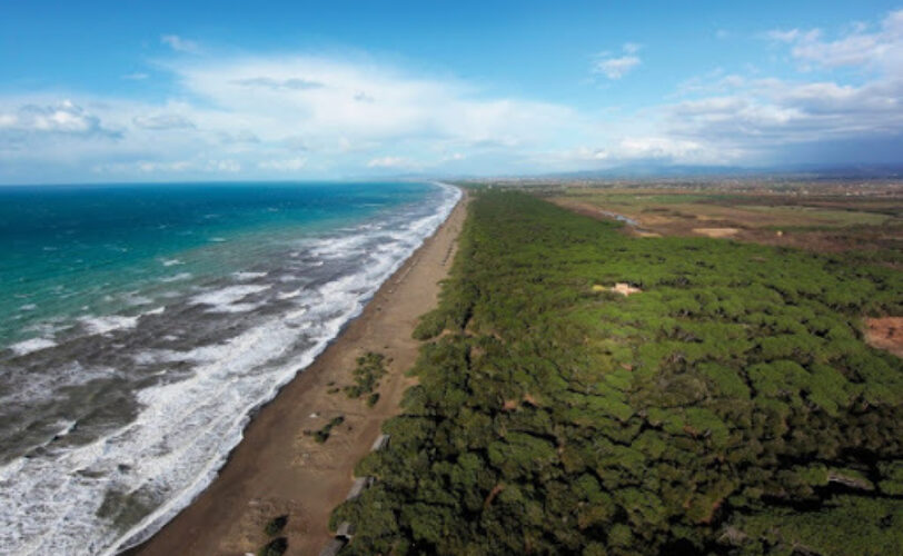 Toscana Stop allabbattimento della Pineta di Tombolo LAC Lega Abolizione Caccia