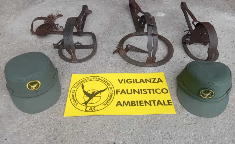 Trappole per la cattura di fauna selvatica scatta il sequestro LAC Lega Abolizione Caccia