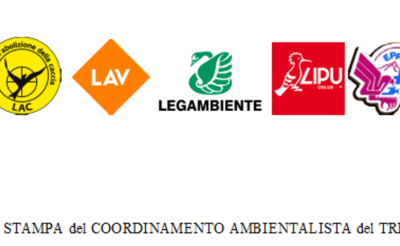 Trentino la neve rende difficile la vita nei boschi ma la caccia rimane aperta LAC Lega Abolizione Caccia