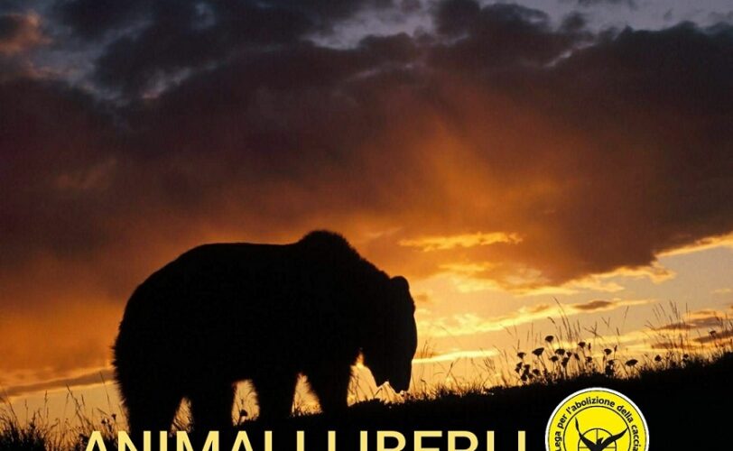 Trento Associazioni Animaliste diffidano la Provincia LAC Lega Abolizione Caccia