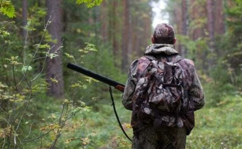 Veneto il TAR sospende la preapertura della caccia a cinque specie salvi migliaia di animali LAC Lega Abolizione Caccia