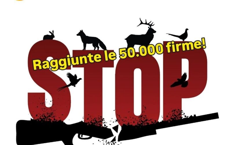 Stop caccia firme raggiunte