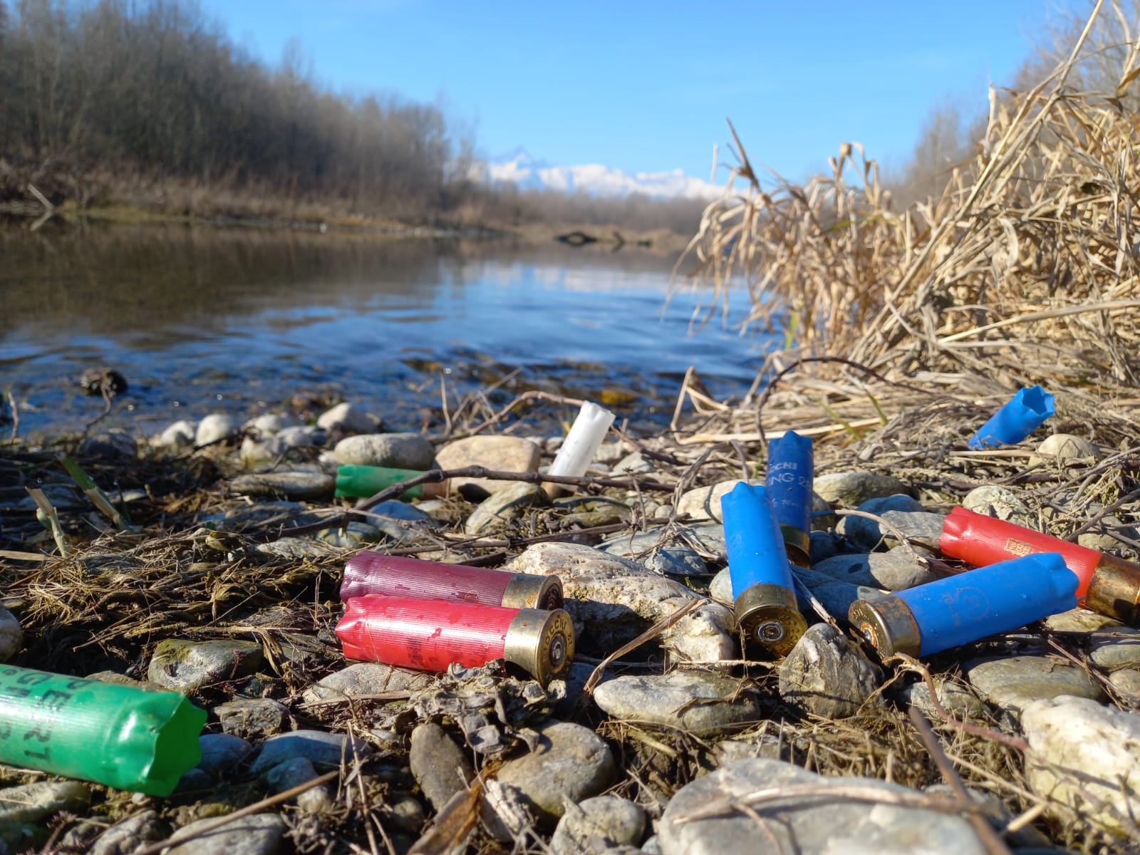 Divieto di Piombo nelle zone umide - LAC Lega Abolizione Caccia