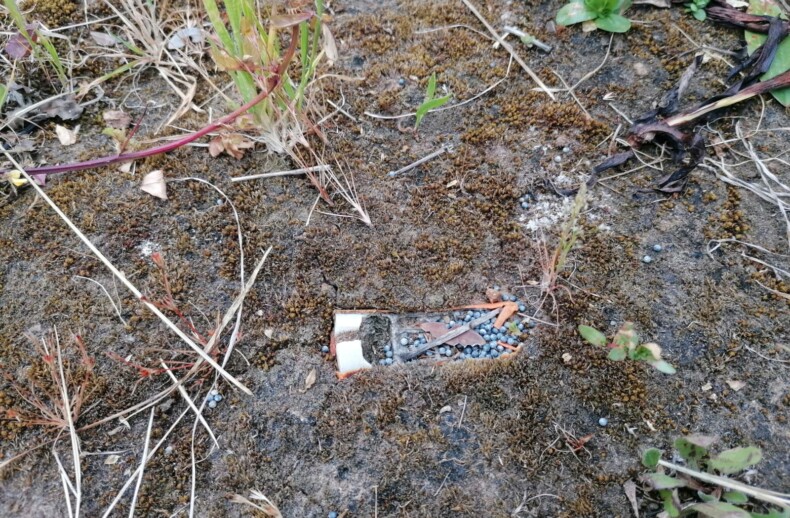 cartuccia da caccia abbandonata inesplosa a Ponza che sta rilasciando piombo e plastica