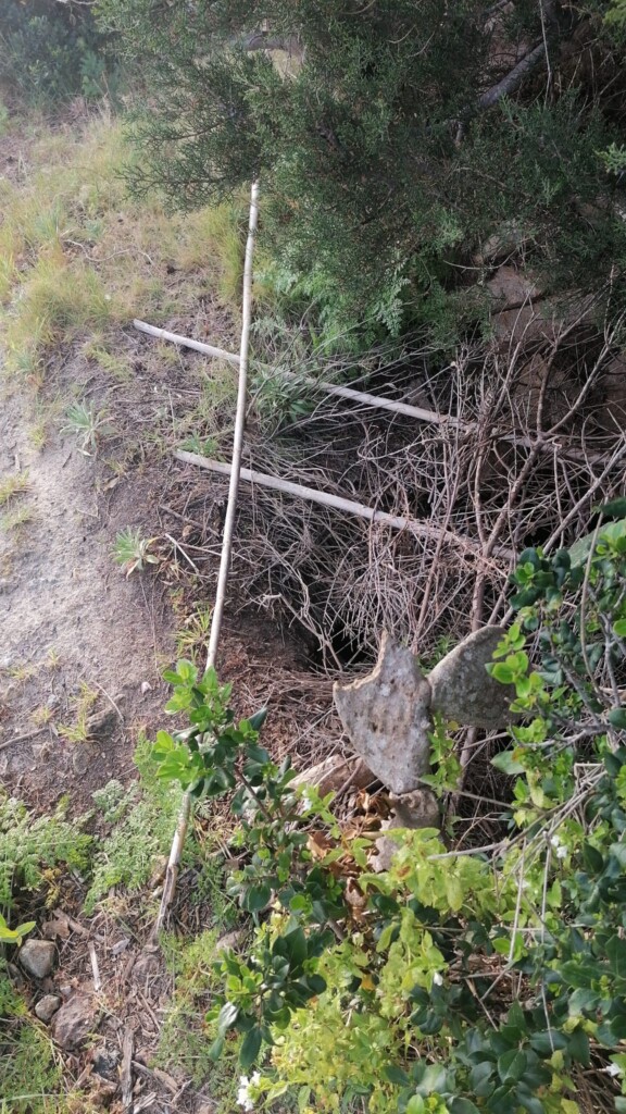 Pertiche per rete su pozza d'acqua ritrovate durante il campo 