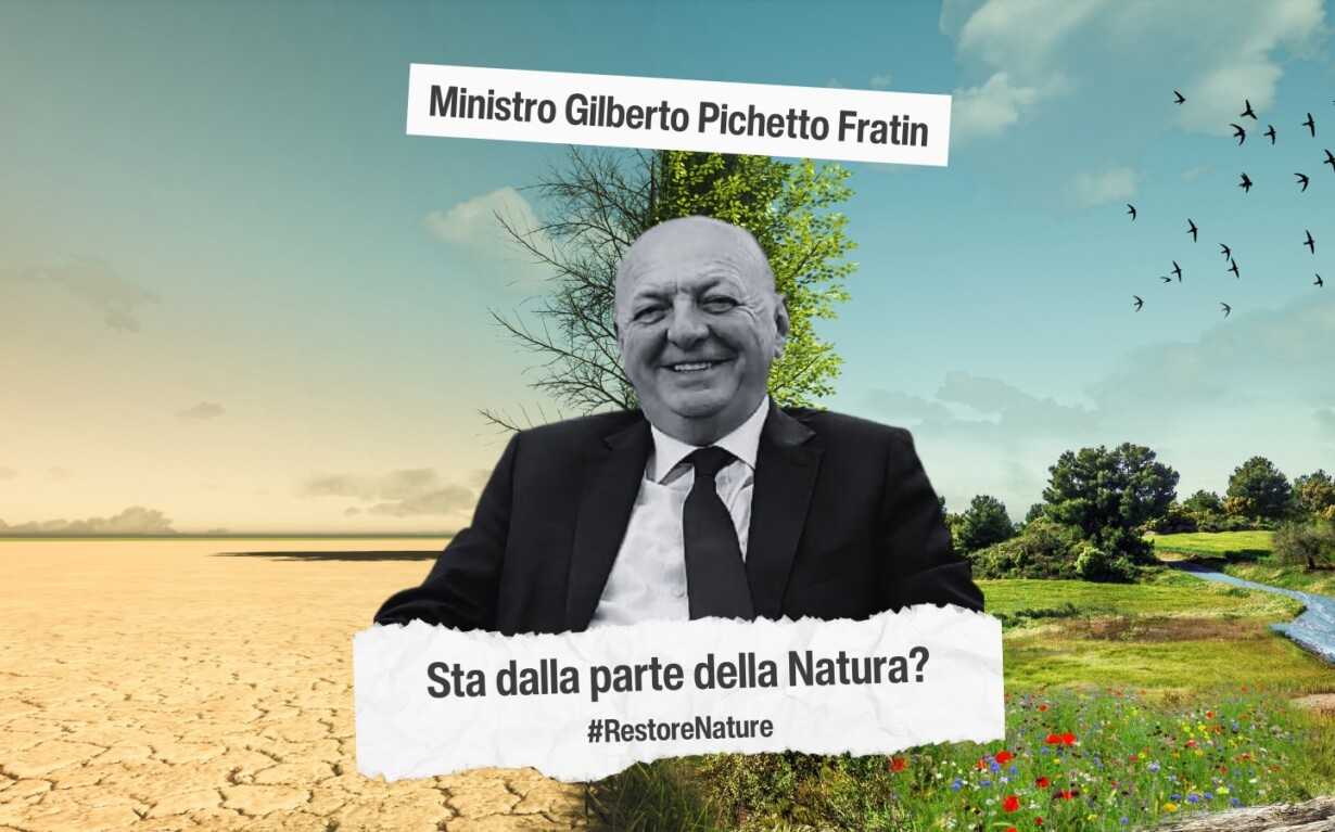 ministro ambiente Fratin Pichetto