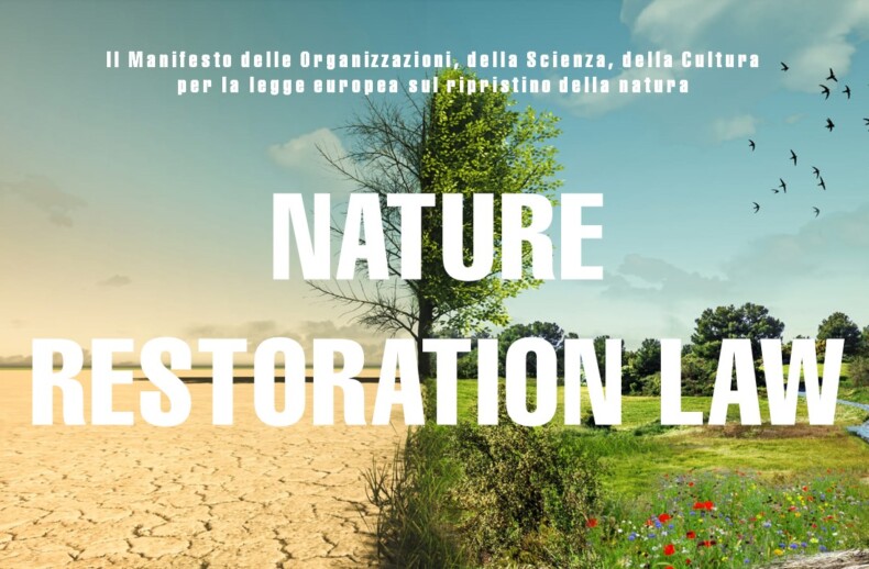il-Manifesto-per-la-Nature-Restoration-Law