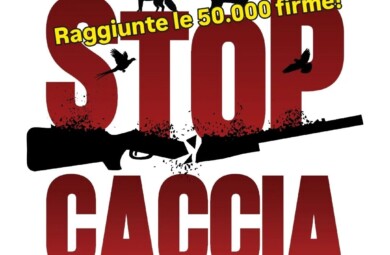 STOP CACCIA